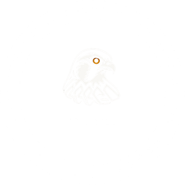Alpha Power Semiconductor seal